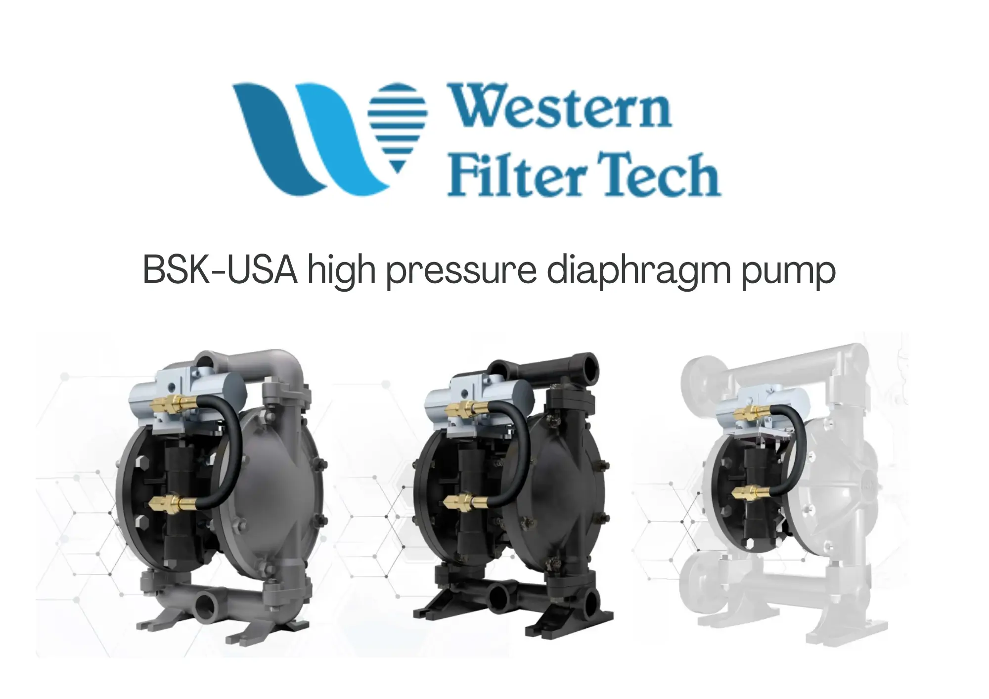BSK high pressure diaphragm pump 1 inch Series - Western Filter Tech