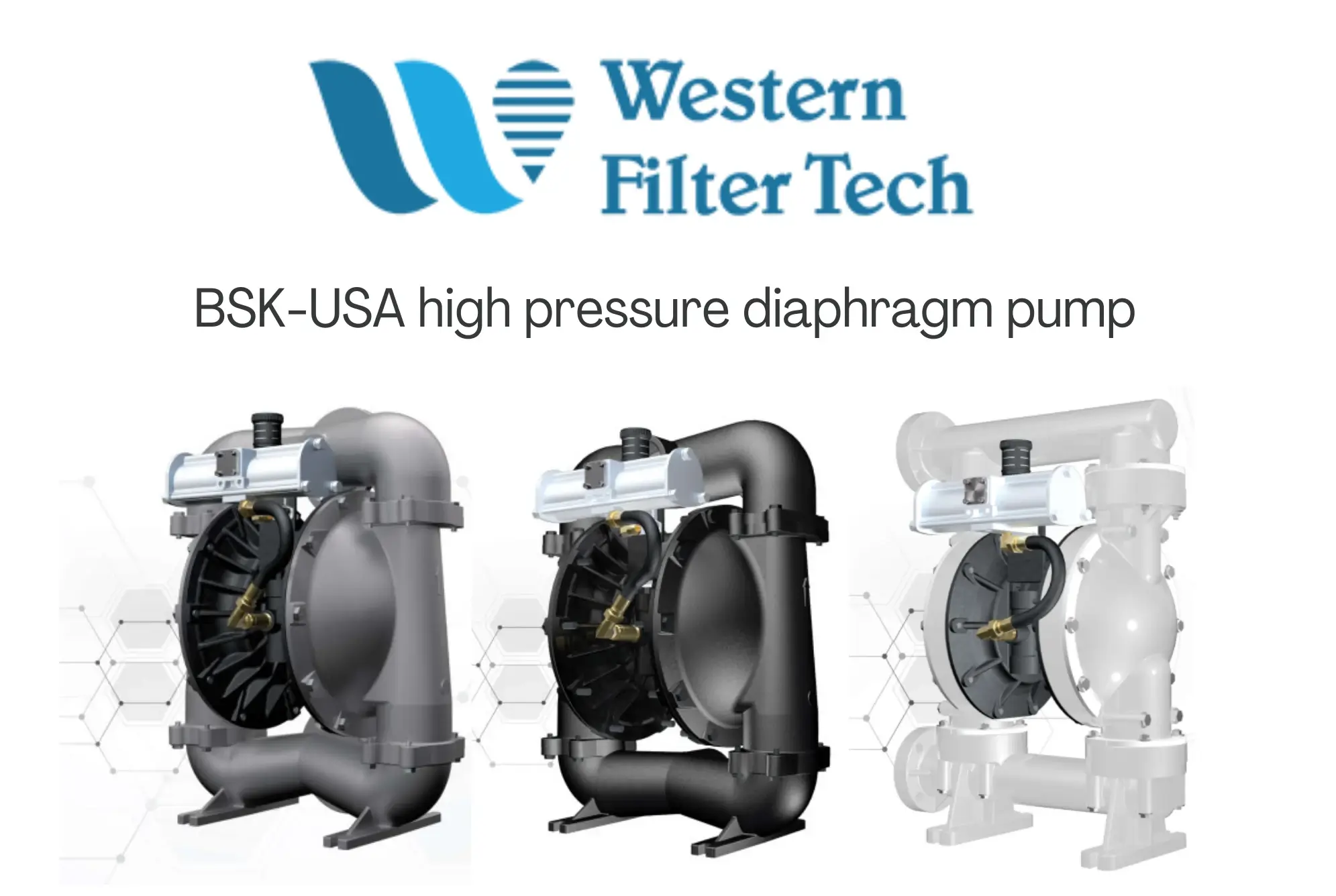 BSK high pressure diaphragm pump 2 inch Series - Western Filter Tech