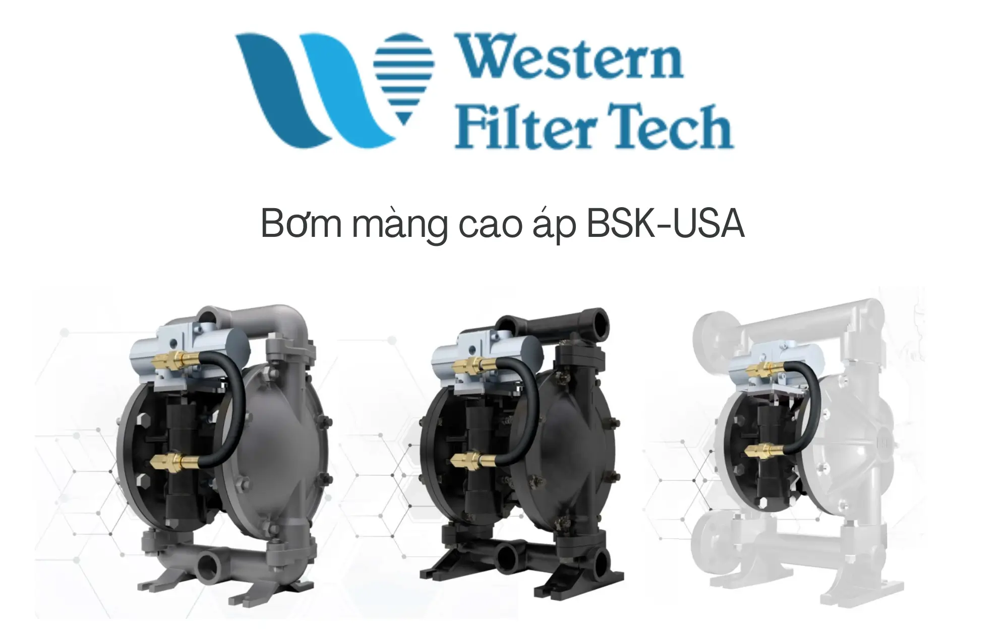 Bơm màng cáo áp BSK 1.5 inch series - Western Filter Tech