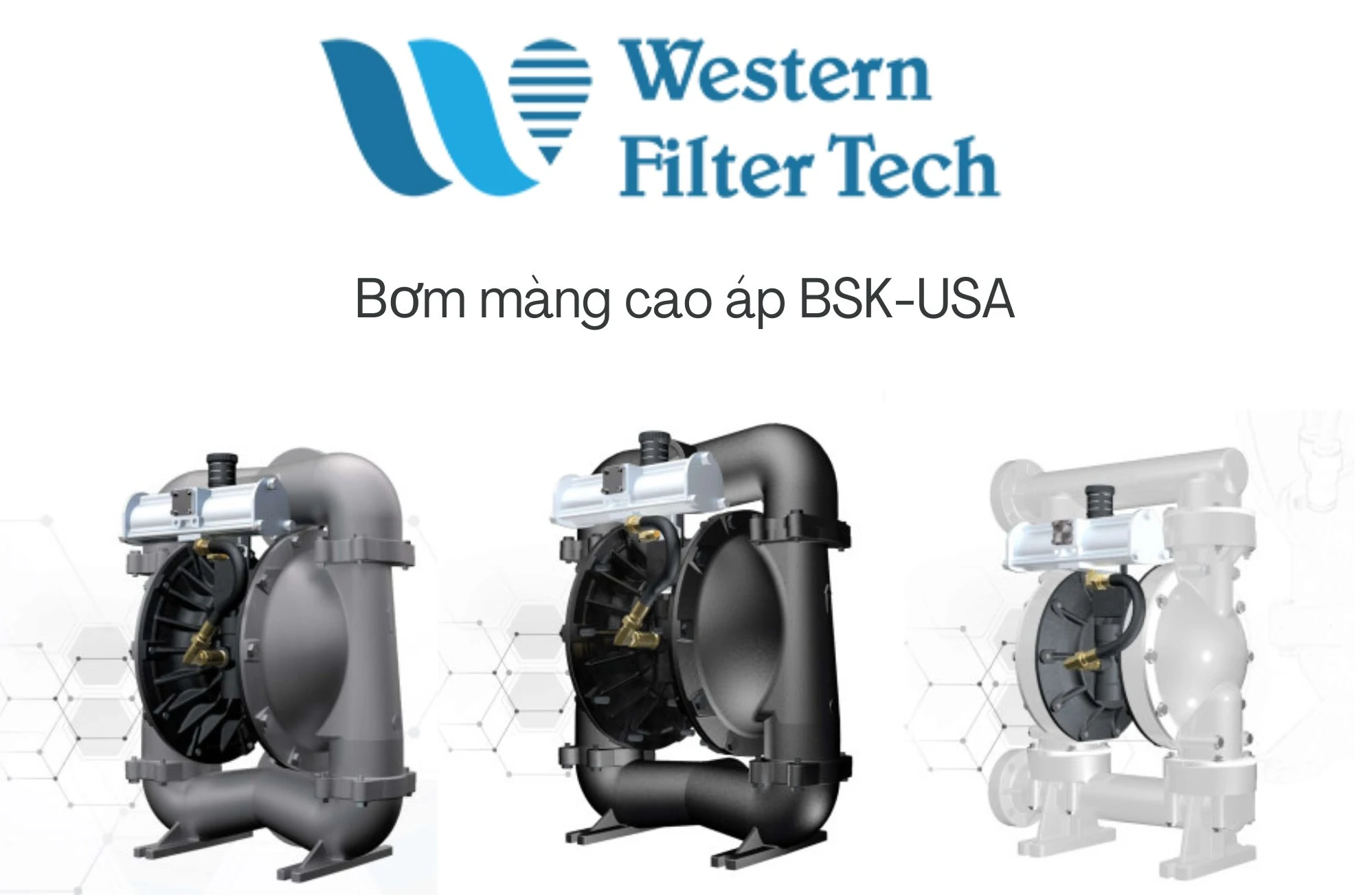 Bơm màng cáo áp BSK 2 inch Series - Western Filter Tech
