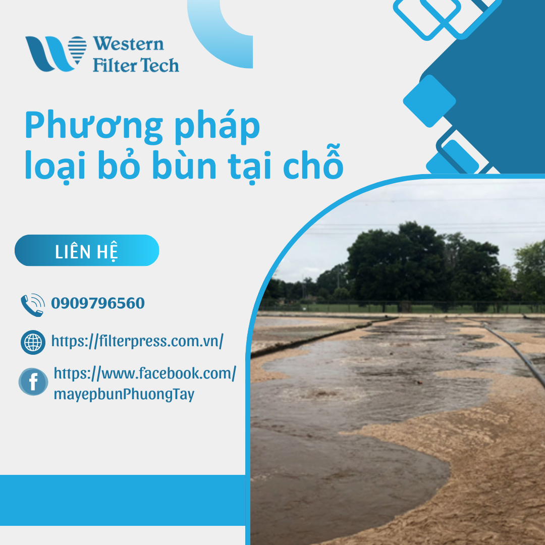 loại bỏ bùn tại chỗ